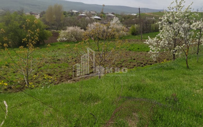 იყიდება მიწის ნაკვეთი, თეთრიწყაროს მუნიციპალიტეტი, ქვემო ქართლი