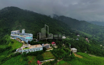 იყიდება კომერციული - არასასოფლო მიწის ნაკვეთი სარფში, ხელვაჩაური