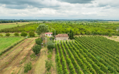 For Sale Land Kakheti