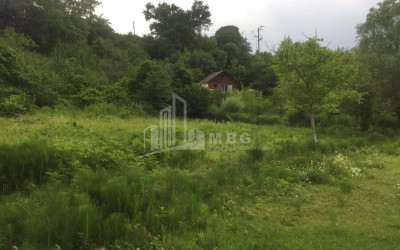 For Sale House Villa Dzegvi Mtskheta Mtskheta   Mtianeti