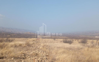 For Sale Land Samtatskaro Dedoplistskaro Kakheti