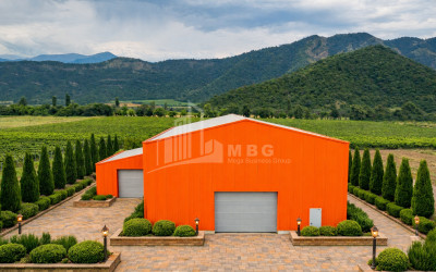 იყიდება მიწის ნაკვეთი ნაფარეული თელავი კახეთი