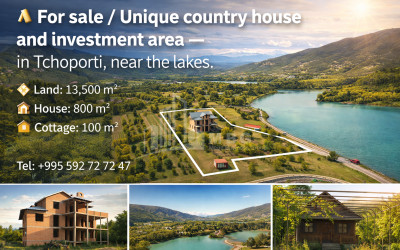 იყიდება სახლი აგარაკი ტაბახმელა მთაწმინდის რაიონი თბილისი