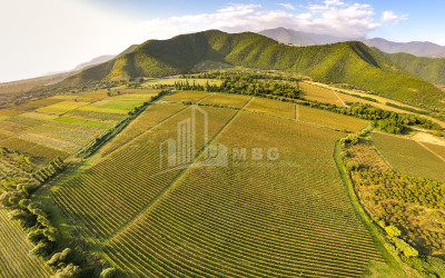 იყიდება მიწის ნაკვეთი ყვარელი კახეთი