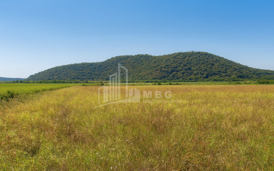 For Sale Land Gremi Kvareli Kakheti