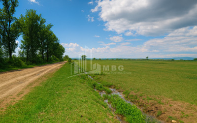 იყიდება მიწის ნაკვეთი მანავი საგარეჯო კახეთი