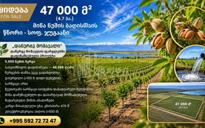For Sale Agricultural Land In Jugaani, Signagi
