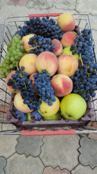 იყიდება სამოსახლო მიწის ნაკვეთი, მუხიანის დაჩები