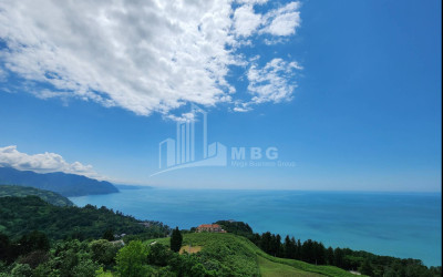 იყიდება კომერციული - არასასოფლო მიწის ნაკვეთი სარფში, ხელვაჩაური