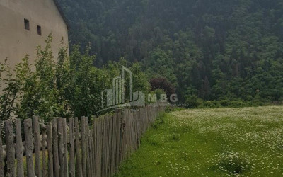 იყიდება სააგარაკე მიწის ნაკვეთი, ტბა