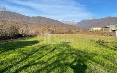 For Sale Land Artana Telavi Kakheti