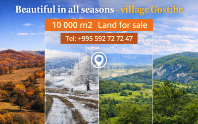 For Sale House Villa Kvibisi Borjomi Samtskhe   Javakheti