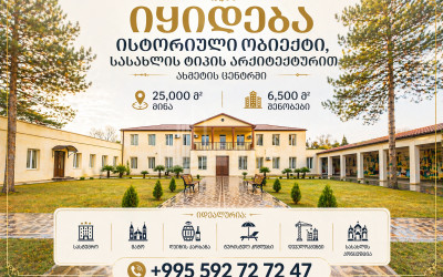 იყიდება შატო / ღვინის ქარხანა / მარანი კომერციული ფართი ახმეტაში