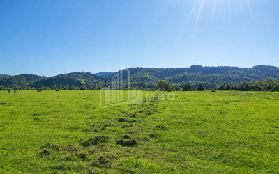 For Sale Orchards Land In Abasha