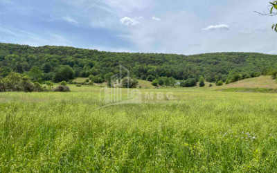 For Sale Land, Tsavkisi, Mtatsminda District, Tbilisi
