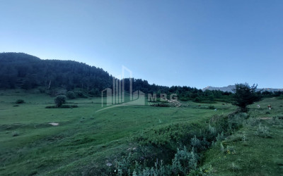 For Sale Land Tsvirmi Mestia Samegrelo   Upper Svaneti