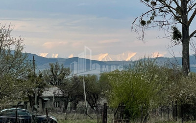 იყიდება მიწის ნაკვეთი ღულელები თიანეთი მცხეთა   მთიანეთი