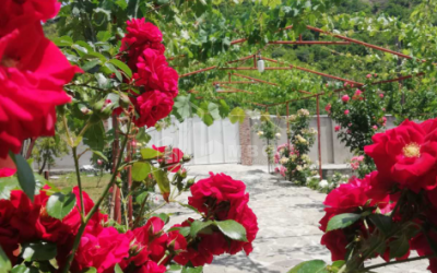 For Sale House - Villa, in Bulachauri