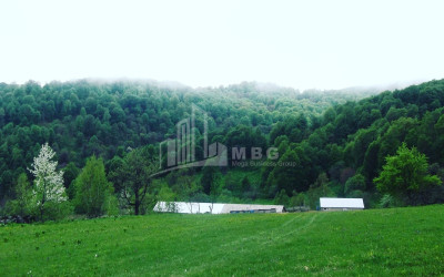 For Sale Agricultural Land, in Tsikhisjvari