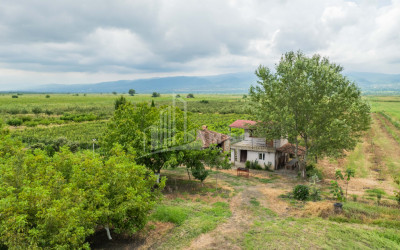 For Sale Land Kakheti