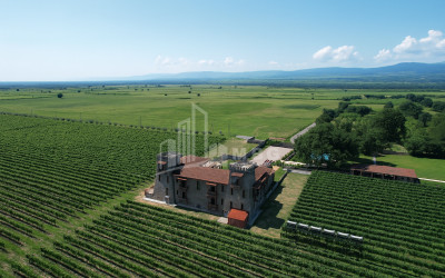 For Sale Commercial Kvareli City Kvareli Kakheti