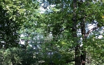 For Sale Country Land, in Zaridzes