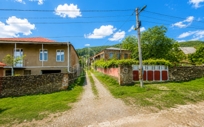 იყიდება ძველი აშენებული სახლი - აგარაკი საგარეჯოში