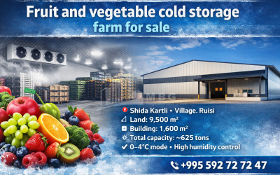 იყიდება სამაცივრე-საყინულე ტერიტორია კომერციული ფართი რუისში, ქარელი