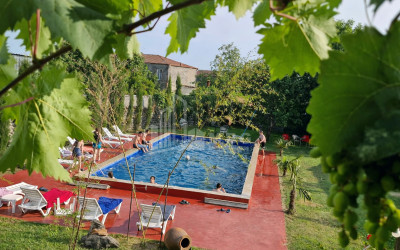 For Sale Commercial Kvareli Kakheti