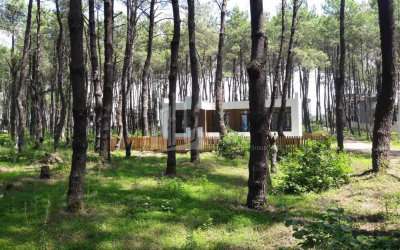 For Sale House - Villa, in Daba Shekvetili