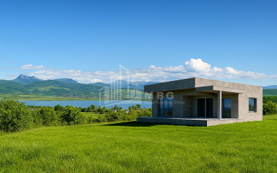 For Sale House Villa Bazaleti Dusheti Mtskheta   Mtianeti