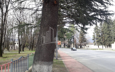 Продается Земля Кварели Кахети