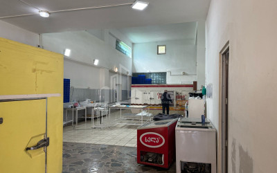 Business for sale Commercial Kvemo Ponichala Krtsanisi District Tbilisi