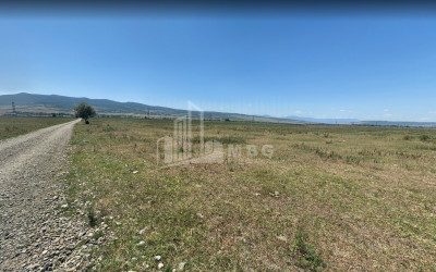 For Sale Country Land, in Tsilkani