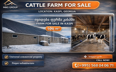 For Sale Land Tetritskaro Kvemo Kartli