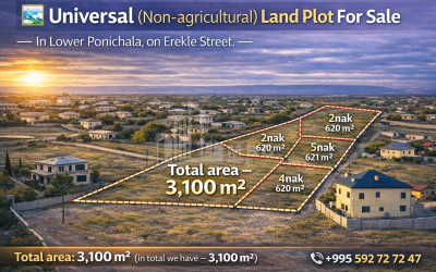 Продается Коммерческий - универсальный Земля В Поничале, Крцанисский Район