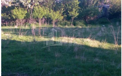 For Sale House - Villa, in Manglisi