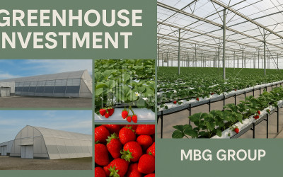 For Sale Land Marneuli Kvemo Kartli