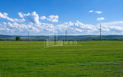 For Sale Vineyard - Chateau Land In Manavi, Sagarejo