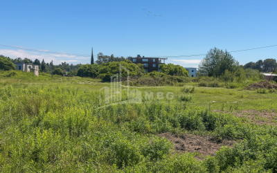 For Sale Land Daba Shekvetili Ozurgeti Municipalities of Guria