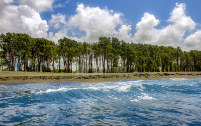 For Sale Country Land, in Daba Shekvetili