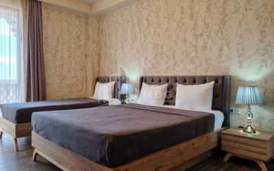 For Sale Commercial Kvareli City Kvareli Kakheti