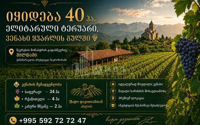 იყიდება სავენახე   საშატოე მიწის ნაკვეთი ყვარელში