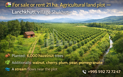 იყიდება-მიწის-ნაკვეთი-ქვემო-შუხუთი-ლანჩხუთი-გურია