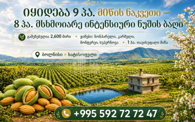Продается Фруктовые сад Земля В Болниси