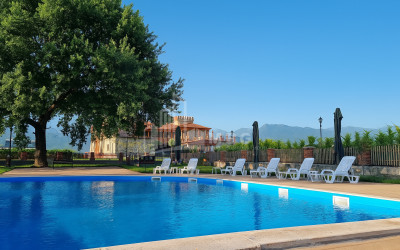 For Sale Commercial Kvareli City Kvareli Kakheti