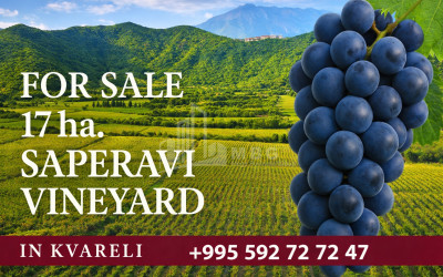 იყიდება ბინა, ბეთლემის კლდისუბანი