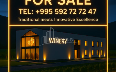 Продается Коммерческий Кварели Кахети