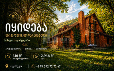 იყიდება ძველი აშენებული სახლი - აგარაკი საგარეჯოში