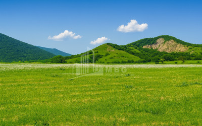 Продается Земля Гомбори Сагареджо Кахети